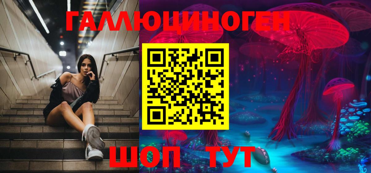 Тосно  Галлюциногенные грибы мухоморы  Вход с VPN  Псилоцибиновые грибы GOLDEN TEACHER 