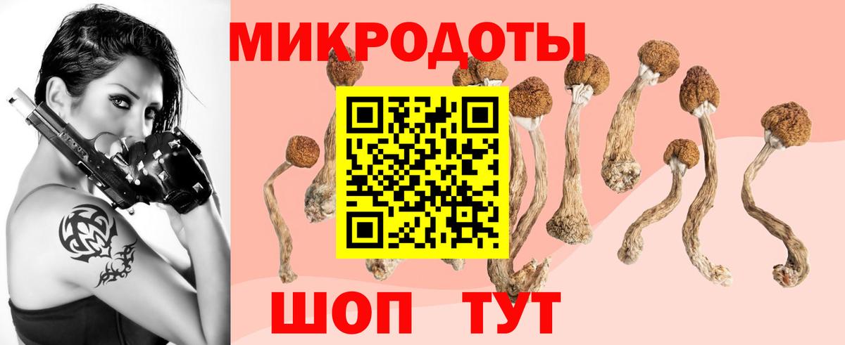Галлюциногенные грибы GOLDEN TEACHER Тосно